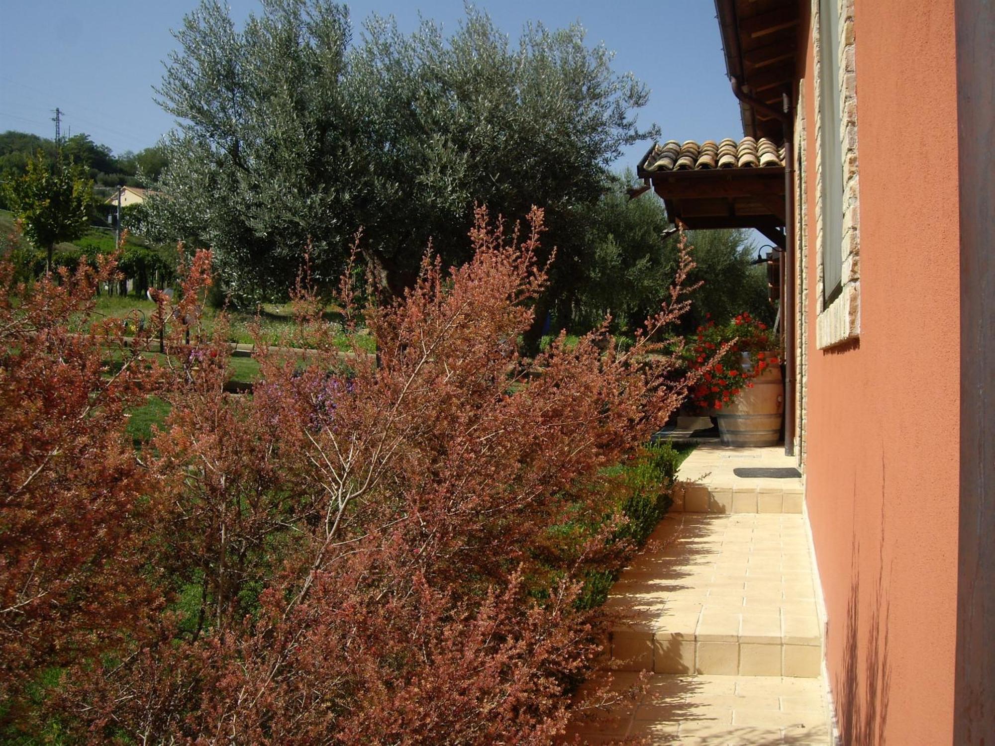 רוזטו דליי אברוצי Agriturismo Il Borgo Degli Ulivi מראה חיצוני תמונה
