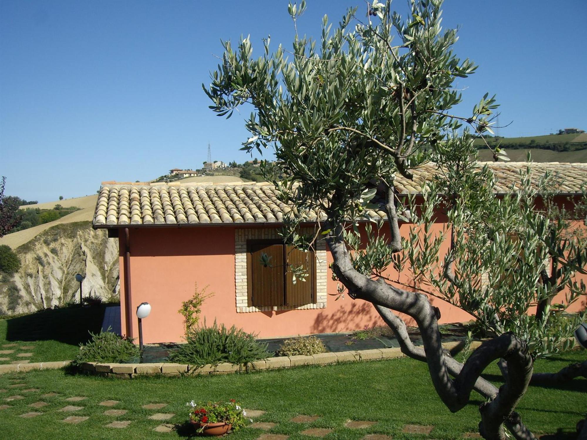 רוזטו דליי אברוצי Agriturismo Il Borgo Degli Ulivi מראה חיצוני תמונה