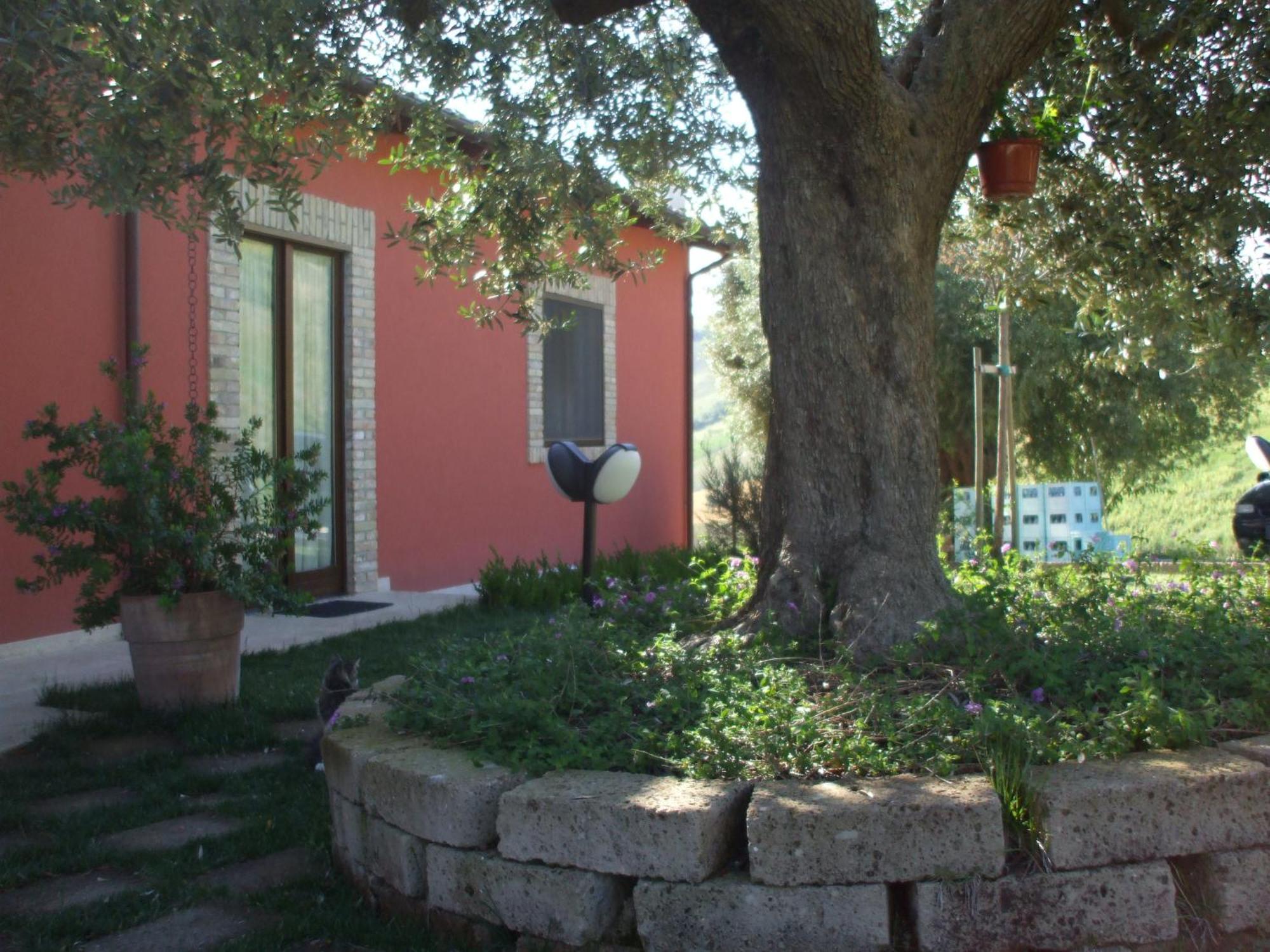 רוזטו דליי אברוצי Agriturismo Il Borgo Degli Ulivi מראה חיצוני תמונה